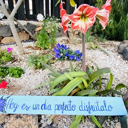 Lykke Sauna Piscina Y Jardin Appartement