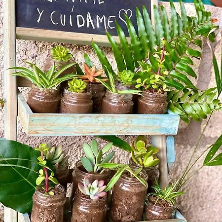 Lykke Sauna Piscina Y Jardin Appartement Buzanada