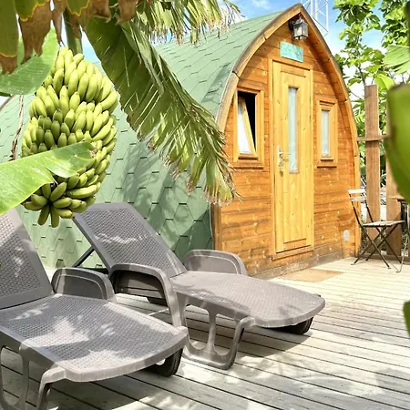 Lykke Sauna Piscina Y Jardin Appartement Buzanada